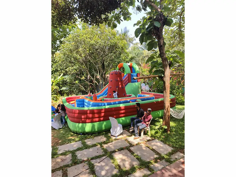 Image Description